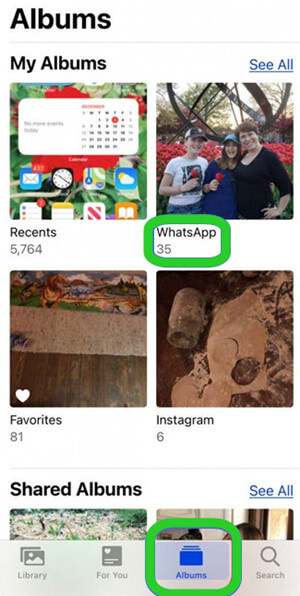 find the WhatsApp album on iPhone