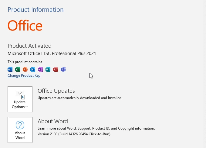 Microsoft Office 2021 Professional Plus Open License