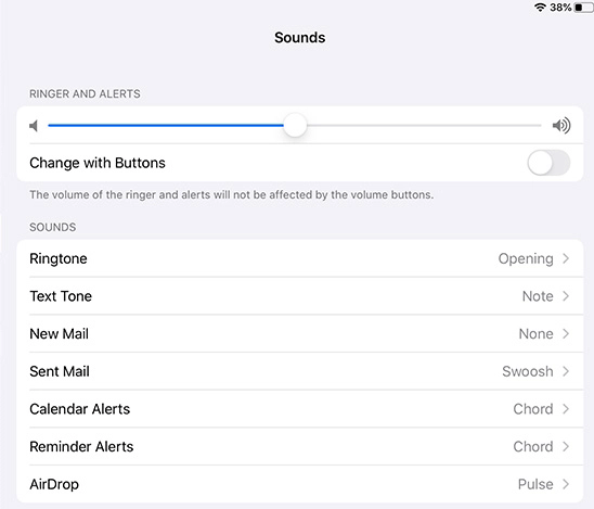 adjust iPad volume in settings