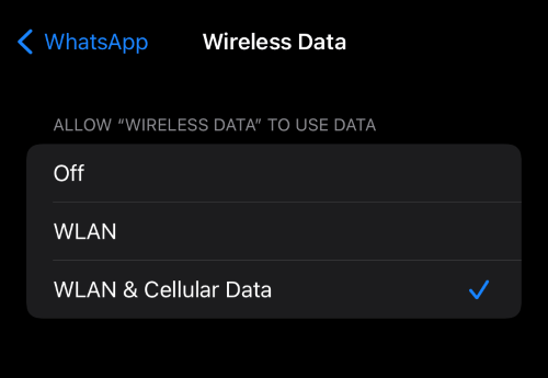 allow whatsapp to use mibile data iphone
