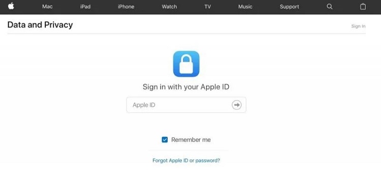 apples data and privacy webpage