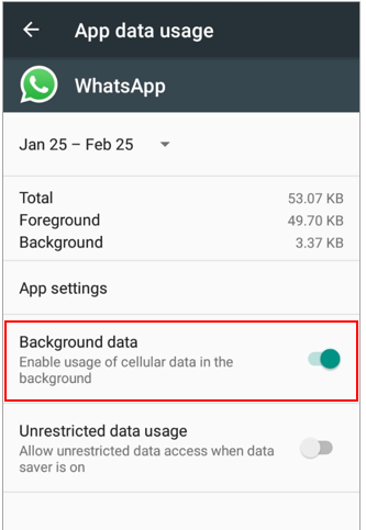 turn on backgroud data usage