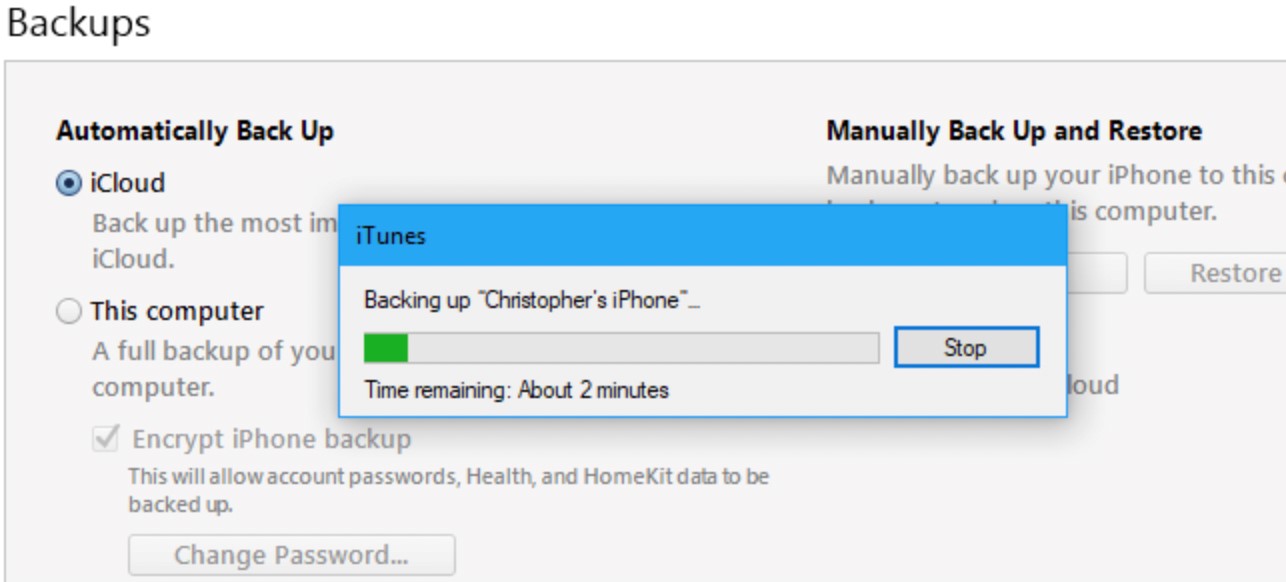 backing up ipone