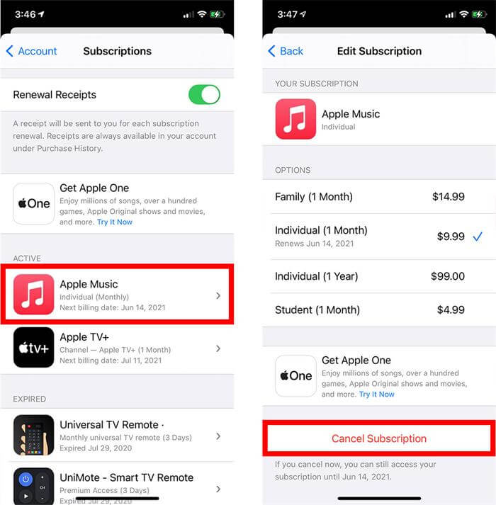 cancel subscriptions iphone