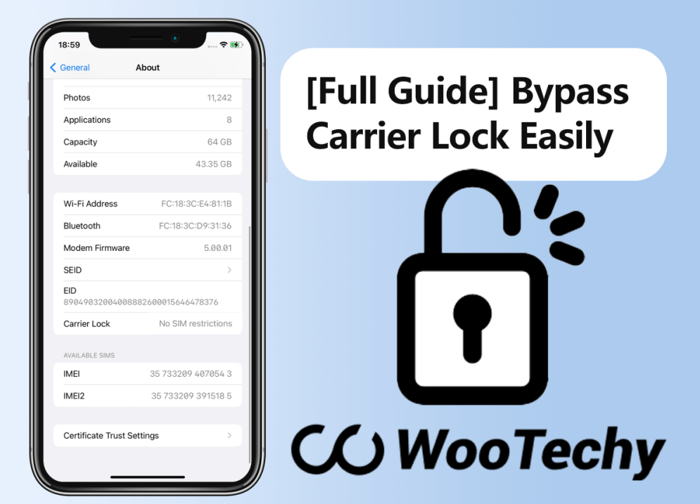 Full Guide On Carrier Lock And No Sim Restrictions Display