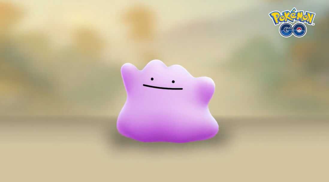 What does this quest mean, do you have to catch a Pokémon and hope it  transforms into ditto or catch the Pokémon that turn into ditto but it  doesn't need to be