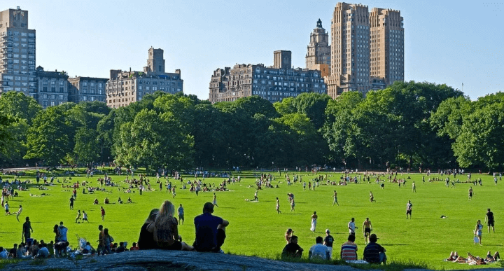 Play Pokemon Go in  Central Park
