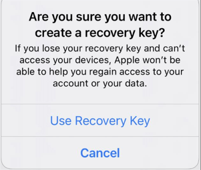 change icloud password with via recovery code