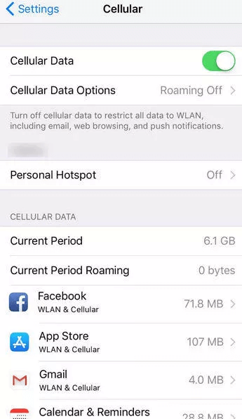 turn on cellular data for settings app