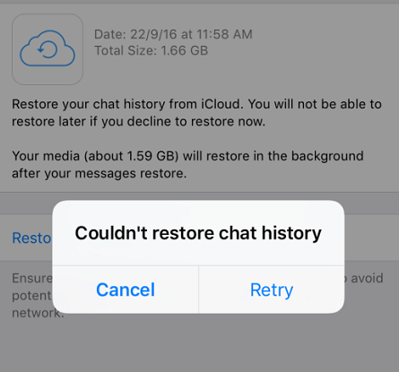 couldn't restore chat history