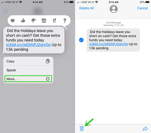how to delete a text message on iPhone