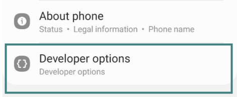 developer options