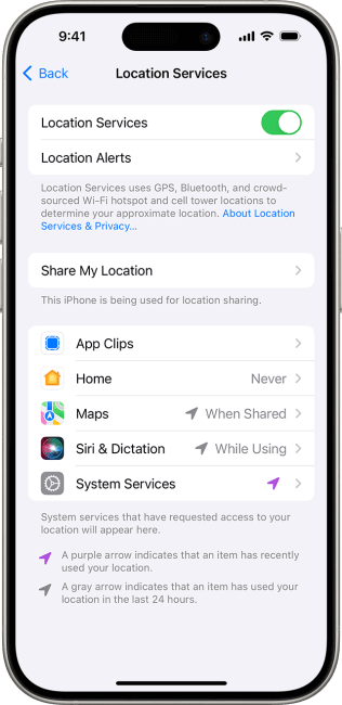 disable privacy location services