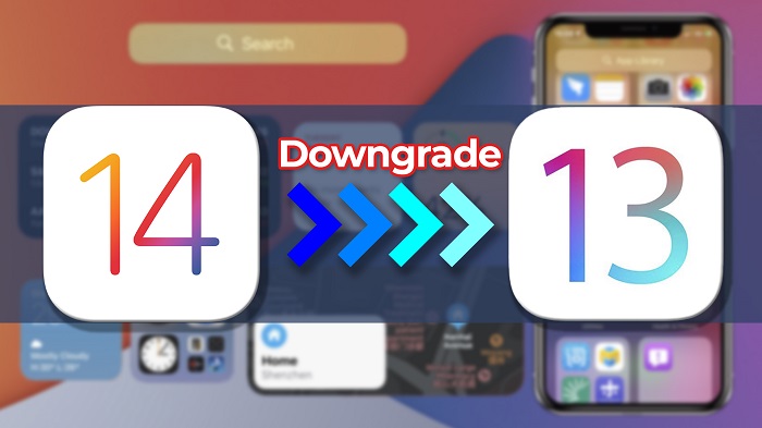 Downgrade from iOS 14 to iOS 13