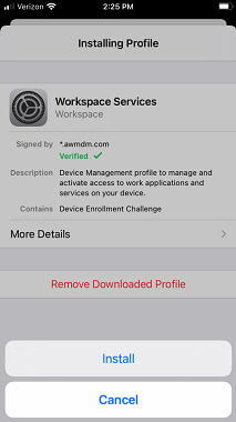 enable apple device management on iphone 1
