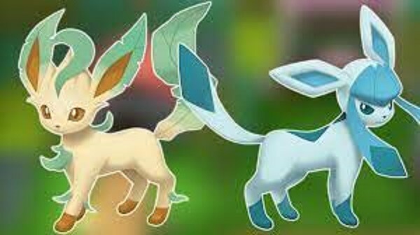 Evolve Eevee into Leafeon and Glaceon