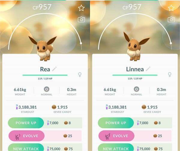 Eevee evolution glitches