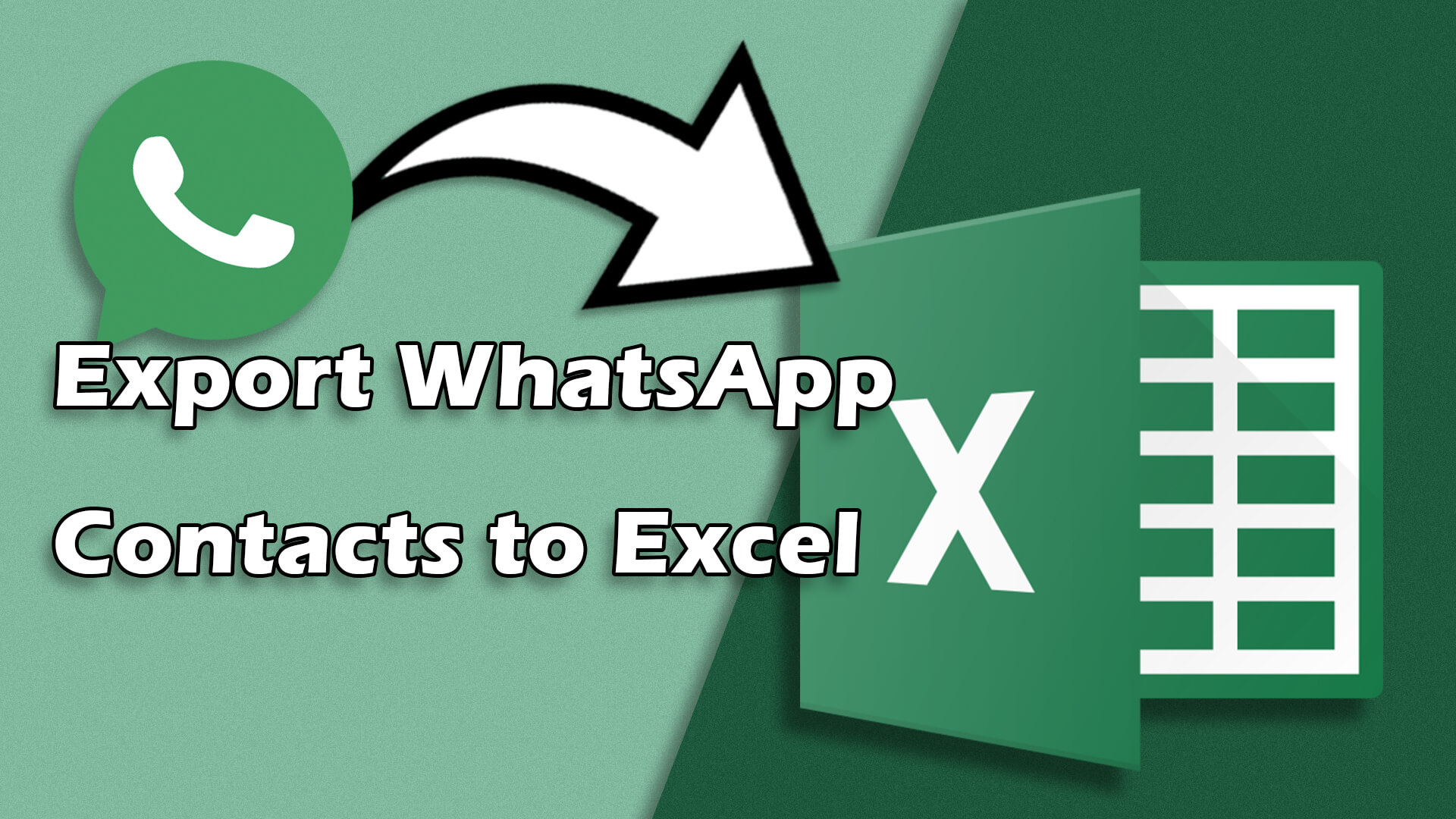 export-whatsapp-contacts-to-excle