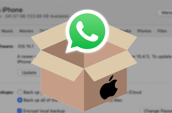 extract WhatsApp backup from iCloud