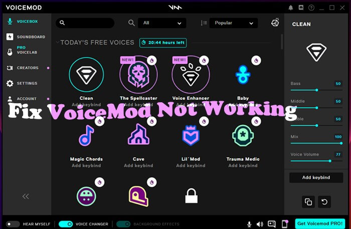 voicemod pro not working on ts push to talk