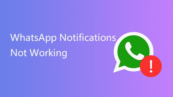 fix WhatsApp notifications not working