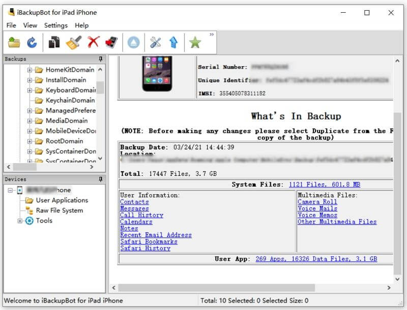 ibackup interface