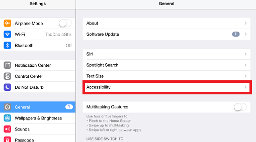 iPad accessibility