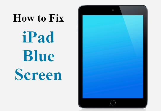 Top 9 Useful Ways To Fix iPad Blue Screen