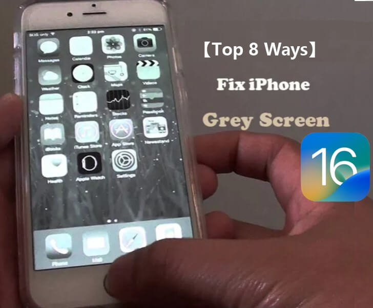 iPhone grey screen