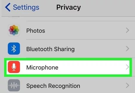 iPhone microphone setting