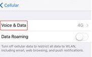 iphone voice and data settings