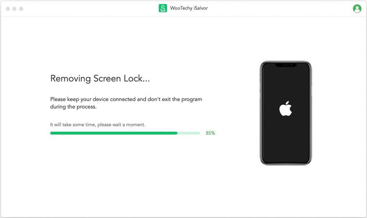 isalvor removing screen lock and icloud