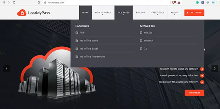 lostmypass file types 1