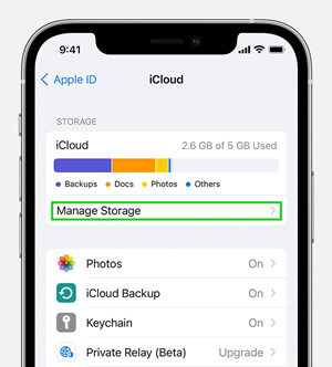 check iCloud backup space