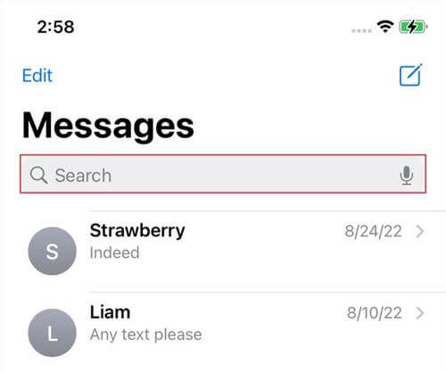 messages app search bar iphone