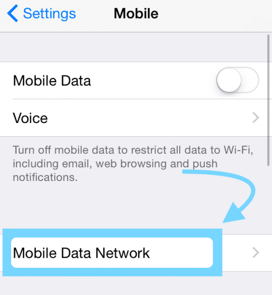mobile data network iphone