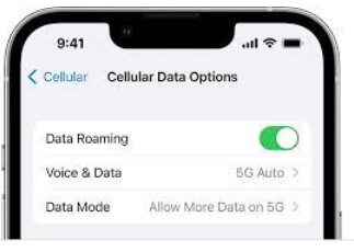 mobile data not working on iPhone