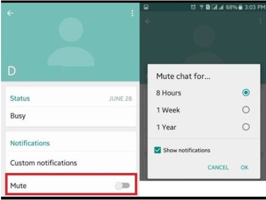 mute-whatsapp-notification