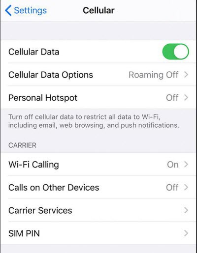 offer cellur data