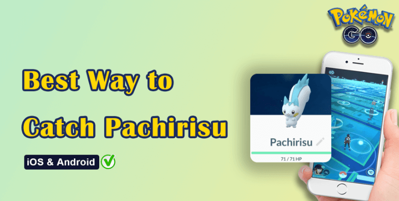 FINALLY!!! Got me 4* Pachirisu :) : r/pokemongo