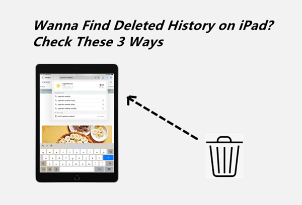 check history on ipad after deleted