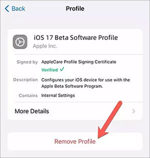 remove ios 17 beta profile settings
