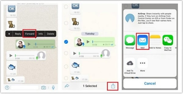 save WhatsApp audio on iPhone with email