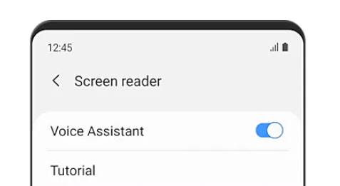 screen reader voice assistant