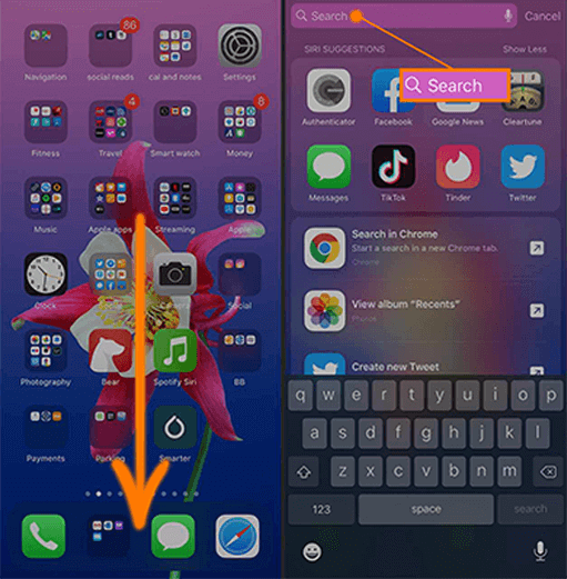 how to search for Safari using Spotlight Search on iPhone