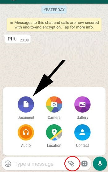 send PDF in WhatsApp on Android