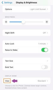 set iphone standard display