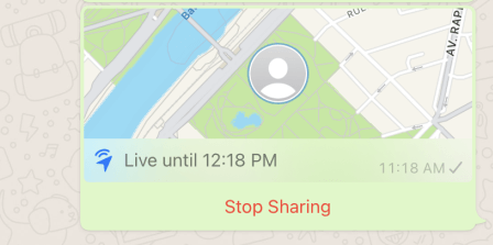 sharing live location whatsapp