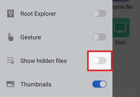 show hidden files