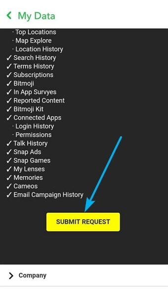 submit request in Snapchat